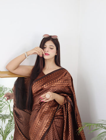 Brown Pure Soft Silk Saree With Twirling Blouse Piece