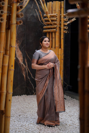 Light Grey Pure Soft Silk Saree With Heavy Brocade Blouse Piece