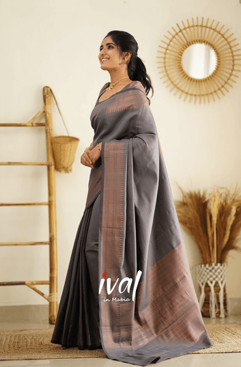 Light Grey Pure Soft Silk Saree With Heavy Brocade Blouse Piece