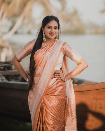 Pure Soft Semi-Silk Saree With Engrossing Maroon Blouse Piece