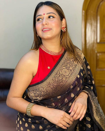 Black Pure Soft Silk Saree With Lovely Blouse Piece
